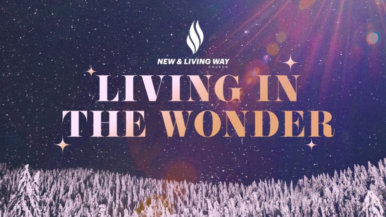 Living In The Wonder Series