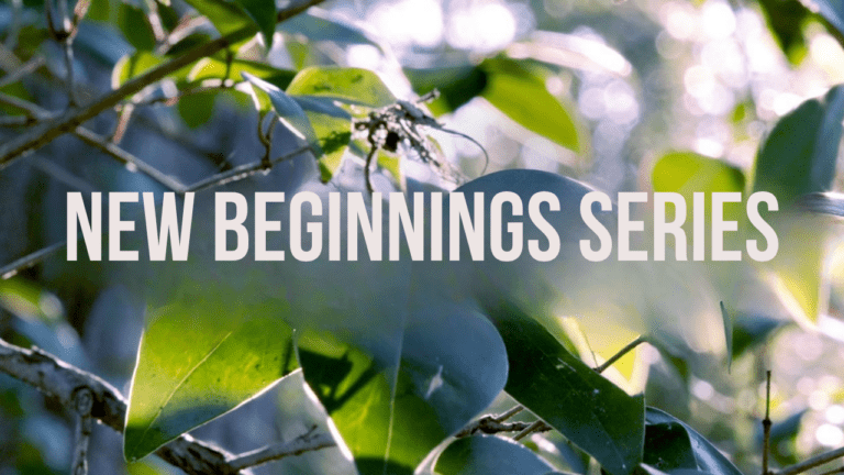 New Beginnings Series